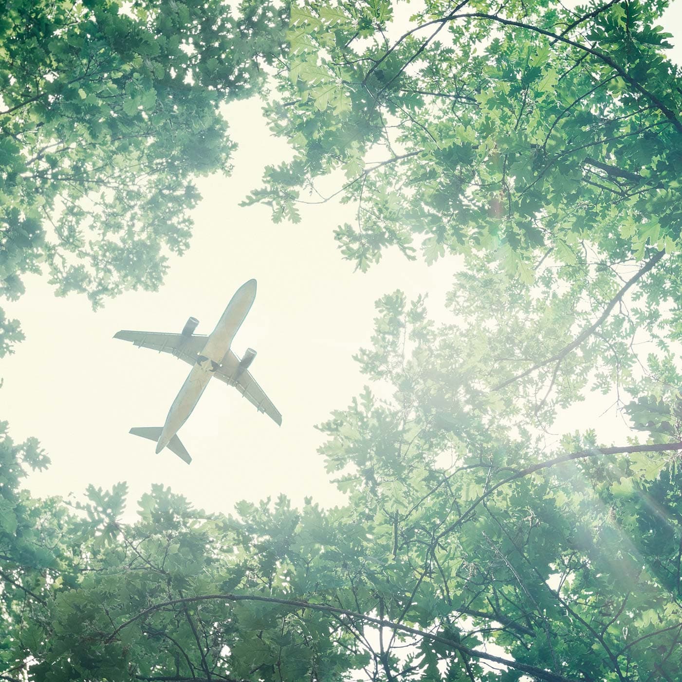 Commercial aircraft flying over a forest, symbolizing Sabena technics’ environmental commitment
